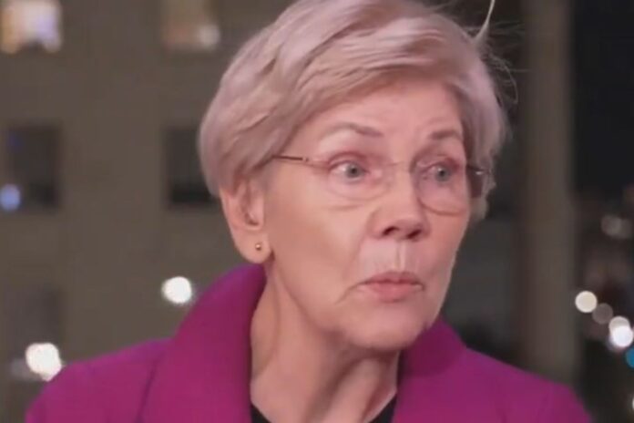 Elizabeth Warren Hits Back at Elon Musk With Three-Word Rebuttal Amid Government Shutdown Drama