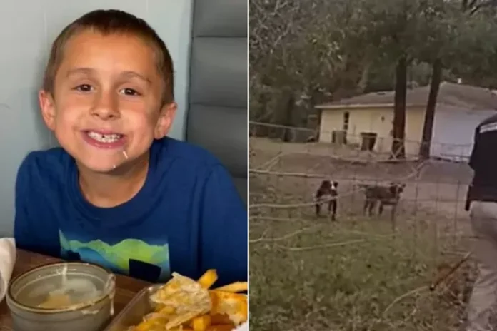 Florida Boy Mauled to Death by Two Dogs After Stopping to Pet Them, Says Sheriff