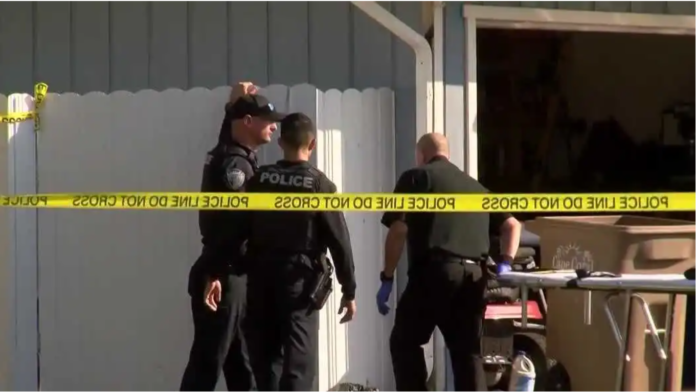 Florida Tragedy: Man Finds Sister’s Dismembered Remains in Backyard