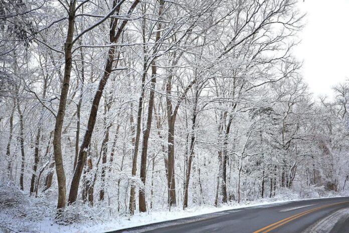 Massachusetts Braces for Heavy Snow Squalls and 2-3 Inches of Snow