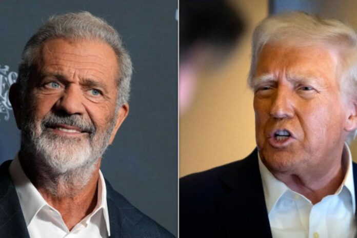 Mel Gibson Reacts to Trump's California Visit: 'Daddy's Here, and He's Taking Charge!'