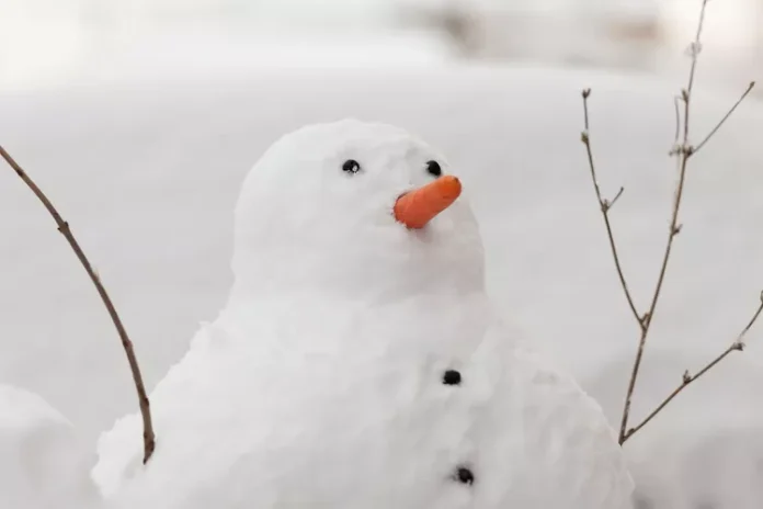 Texas Dad Snowman Adventure with Daughter Turns into Unexpected Workout