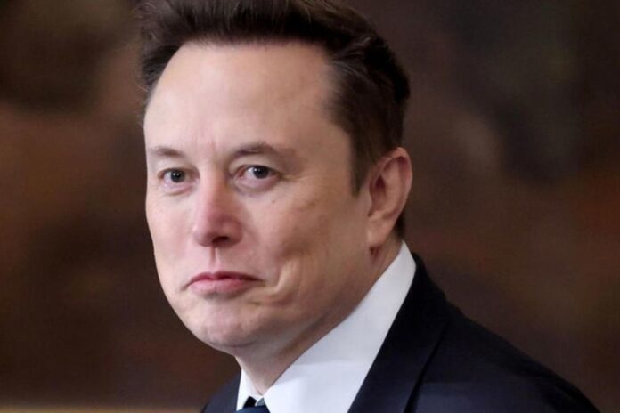 Trump's 'Ice Maiden' Chief of Staff Shuts Out Elon Musk from the West Wing