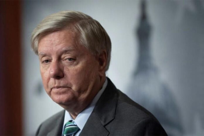 ‘A Snake in Disguise’: Lindsey Graham Faces MAGA Fury Over Trump’s J6 ‘Mistake’ Remark