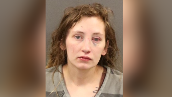 Mother Arrested for DUI After Deputy Rescues Kids from Freezing River Crash