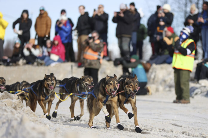 Iditarod 2025 Just Got Even Tougher Here’s Why This Year’s Race Is Making History